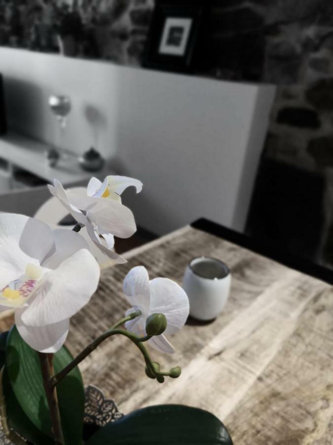 L'Authentik, Charme Et Confort En Vieille Ville อานซี ภายนอก รูปภาพ